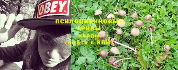 дурь Абинск