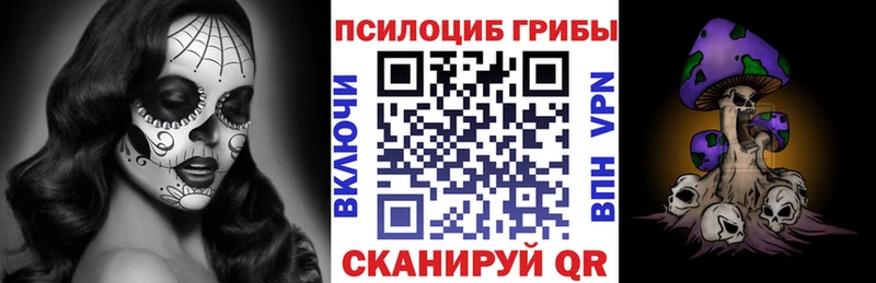 Галлюциногенные грибы ЛСД  где можно купить   Хасавюрт 