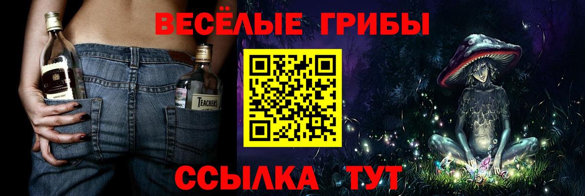 Галлюциногенные грибы Psilocybe  Вход с VPN  Хасавюрт 
